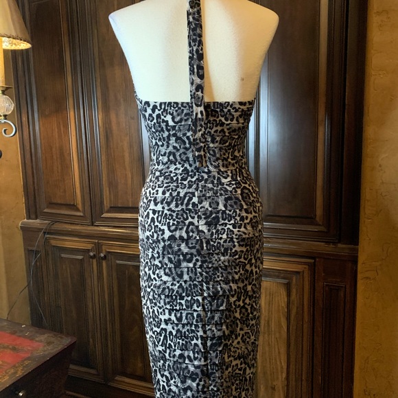 Cache Animal Print Dress - Picture 5 of 8